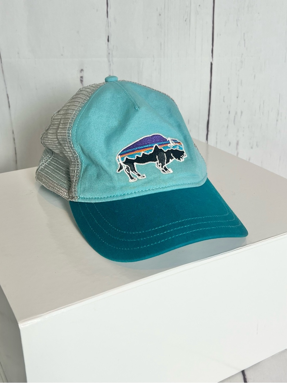 Patagonia Fitz Roy Bison Trucker Hat Teal Mesh Snapback Buffalo Logo Cap